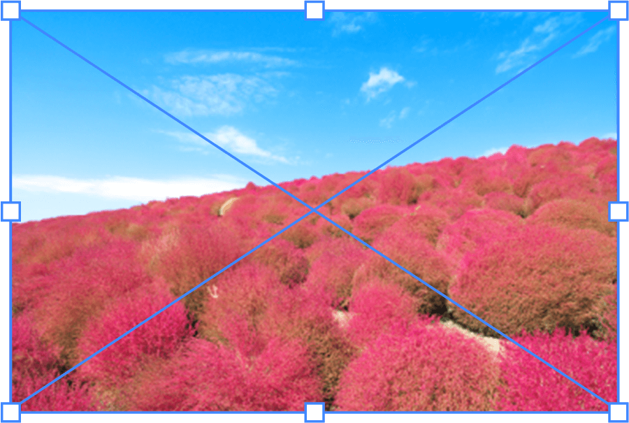 バッテンが表示されている写真