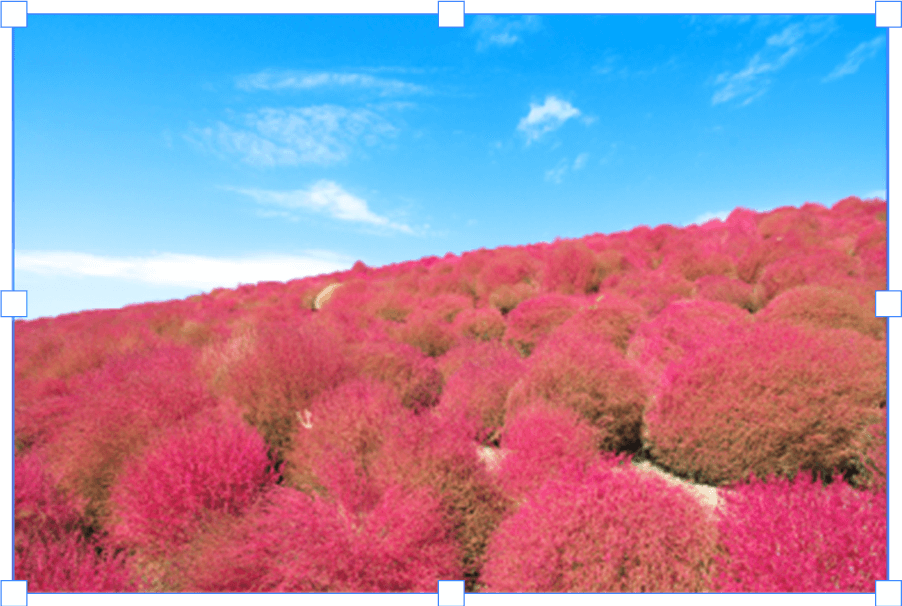 バッテンがなくなった写真