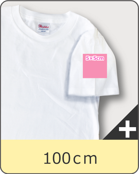 Tシャツ100cmサイズの袖プリント可能サイズ