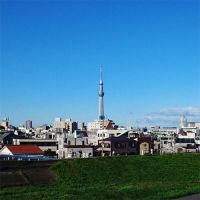 工場から見えるスカイツリー